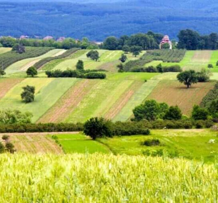 PRIME COMMERCIAL LAND FOR SALE –  NEAR GRANBURY, TX