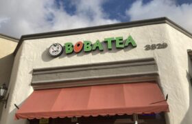 Established Boba Tea Shop in Euless, TX